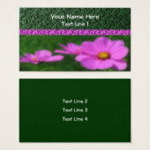 Hellrosa Kosmos-Blume (Vorne & Hinten)