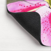 Hellrosa Lilie Tenerfife Blume Mousepad (Ecke)