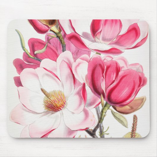 Hellrosa Magnolia Maus Pad Mousepad (Vorne)