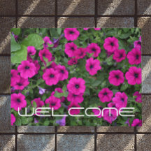 Hellrosa Petunias floraler Empfang