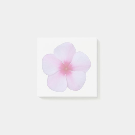 Hellrosa Phlox-Haftnotizen Post-it Klebezettel (Vorderseite)