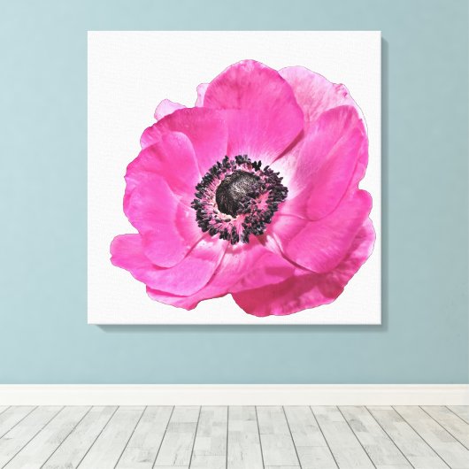 Hellrosa Poppy Blume Blumendesign Weiß Leinwanddruck (Insitu (Holzboden))