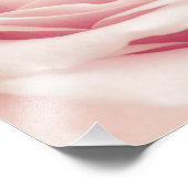 Hellrosa Rose Blume - Rose Blume Blumenstrauß Fotodruck (Ecke)