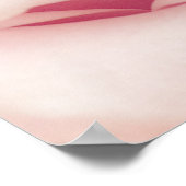 Hellrosa Rose Blume - Rose Blume Blumenstrauß Poster (Ecke)