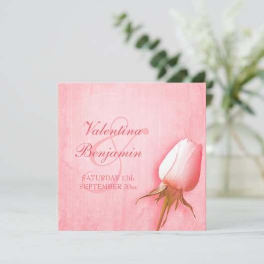 Hellrosa Rose Bud Square Einladung (Stehend Vorderseite)