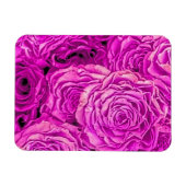 Hellrosa Rosen Magnet (Horizontal)