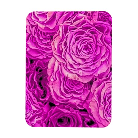 Hellrosa Rosen Magnet (Vertikal)