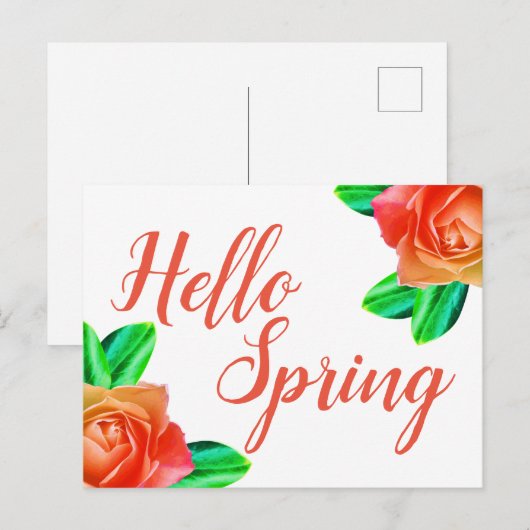 Hellrosa Roses Hallo Frühling Postkarte (Vorne/Hinten)