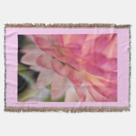 Hellrosa Strawblume Decke