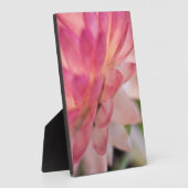 Hellrosa Strawblume Fotoplatte (Seite)