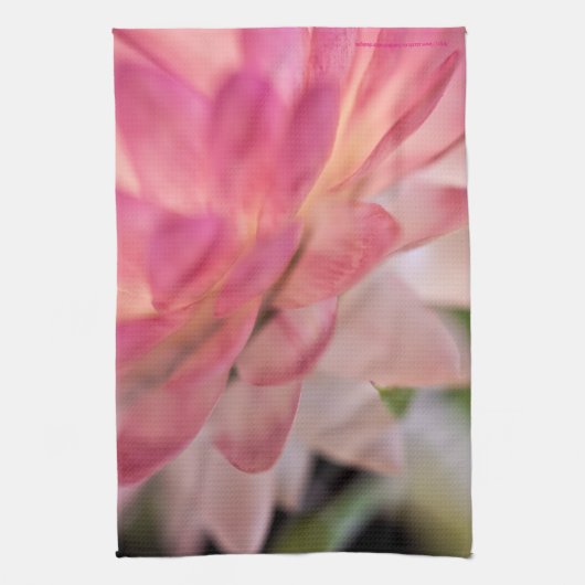 Hellrosa Strawblume Geschirrtuch (Vertikal)