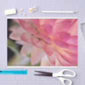 Hellrosa Strawblume Seidenpapier (Handwerk)