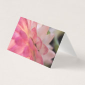 Hellrosa Strawfflower-Karte (Vorderseite)