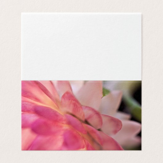 Hellrosa Strawfflower-Karte (Außenseite Aufgefaltet)