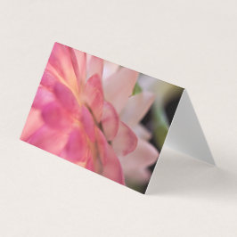 Hellrosa Strawfflower-Karte