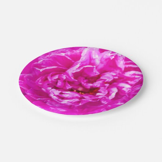 Hellrosa Teller, 7 Zoll rund Pappteller (Schrägansicht)