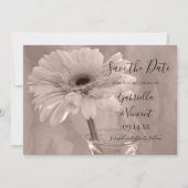 Hellrosa Tinte Daisy Wedding Save the Date (Vorderseite)