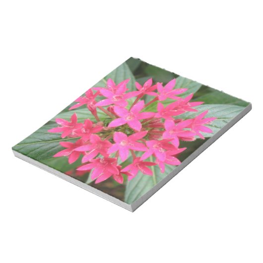 Hellrosa tropische Blume Notepad Notizblock (Rotiert)