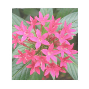 Hellrosa tropische Blume Notepad Notizblock