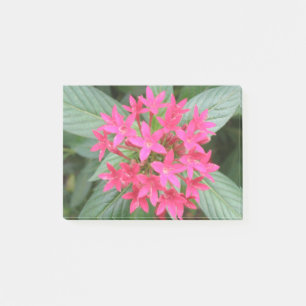 Hellrosa tropische Blume Post it notes Pad Post-it Klebezettel