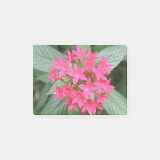 Hellrosa tropische Blume Post it notes Pad Post-it Klebezettel (Vorderseite)