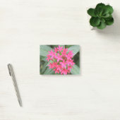 Hellrosa tropische Blume Post it notes Pad Post-it Klebezettel (Büro)