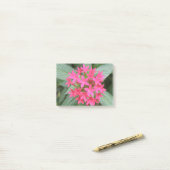 Hellrosa tropische Blume Post it notes Pad Post-it Klebezettel (Auf Schreibtisch)
