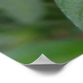 Hellrosa tropische Blume Poster (Ecke)