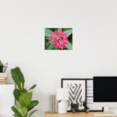Hellrosa tropische Blume Poster (Heimbüro)