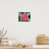 Hellrosa tropische Blume Poster (Küche)