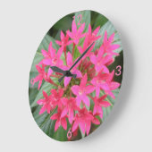 Hellrosa, tropische Blume, Uhr (Winkel)