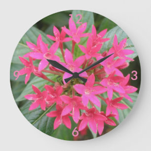 Hellrosa, tropische Blume, Uhr