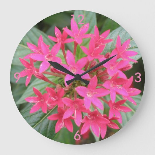 Hellrosa, tropische Blume, Uhr (Vorderseite)