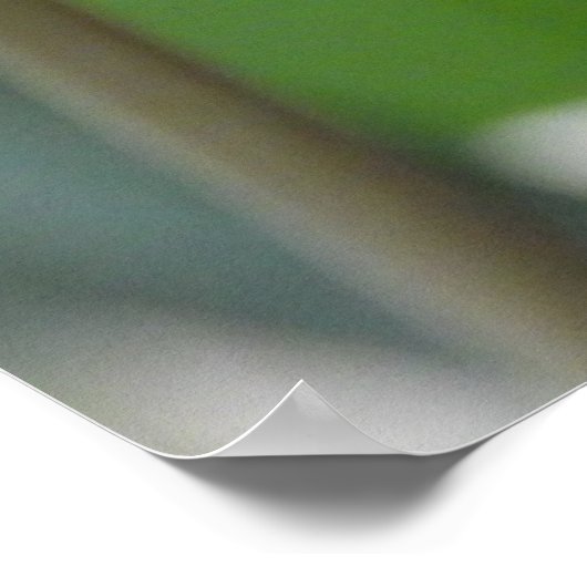 Hellrosa Tulip Blume Poster (Ecke)