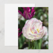 Hellrosa Tulpen an einem sonnigen Tag Einladung (Vorne/Hinten)