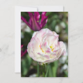 Hellrosa Tulpen an einem sonnigen Tag Einladung (Vorderseite)
