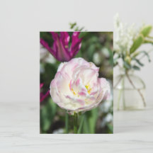 Hellrosa Tulpen an einem sonnigen Tag