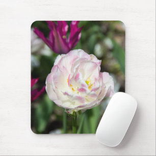 Hellrosa Tulpen an einem sonnigen Tag Mousepad