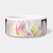 Hellrosa Tulpen an einem sonnigen Tag