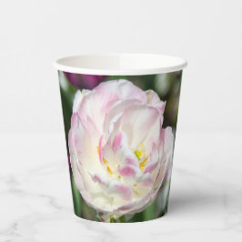 Hellrosa Tulpen an einem sonnigen Tag Pappbecher