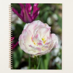 Hellrosa Tulpen an einem sonnigen Tag Planer