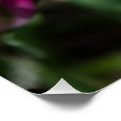 Hellrosa Tulpen an einem sonnigen Tag Poster (Ecke)