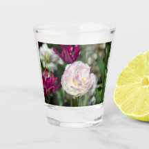 Hellrosa Tulpen an einem sonnigen Tag