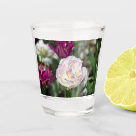 Hellrosa Tulpen an einem sonnigen Tag Schnapsglas