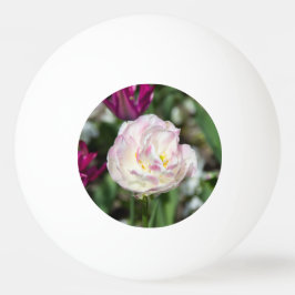 Hellrosa Tulpen an einem sonnigen Tag Tischtennisball