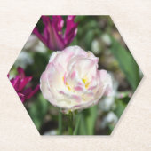 Hellrosa Tulpen an einem sonnigen Tag Untersetzer (Vorderseite)