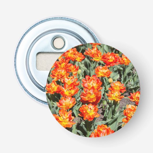 Hellrosa Tulpen Flaschenöffner (Vorderseite)