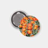 Hellrosa Tulpen Magnet (Vorderseite/Rückseite)