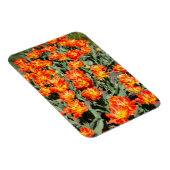 Hellrosa Tulpen Magnet (Rechte Seite)
