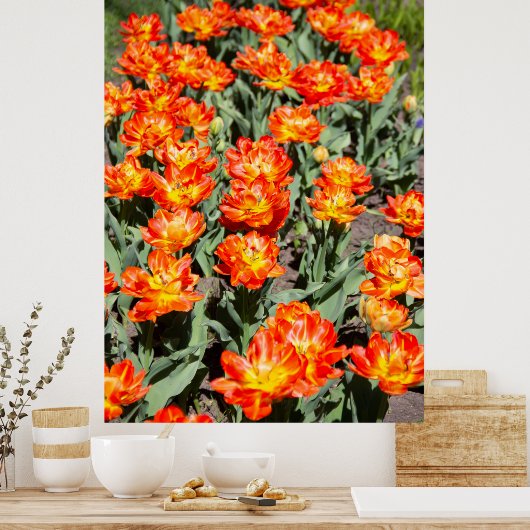 Hellrosa Tulpen Poster (Küche)
